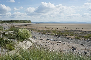Sandy Prints: View of coastline at low tide, Newbiggin, Morecambe Bay, Cumbria, England, July