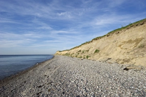 View of coastline with pebble beach and sea cliff, Sjalland (Zealand), Baltic Sea, Denmark, may