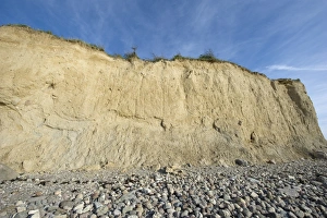 View of coastline with pebble beach and sea cliff, Sjalland (Zealand), Baltic Sea, Denmark, may