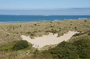 Farne Prints: View of coastline with sand dunes