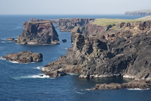 View of coastline and sea cliffs, Eshaness, Mainland, Shetland Islands, Scotland, May