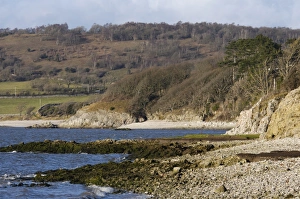 Silverdale Prints: View of coastline, Silverdale, Morecambe Bay, Lancashire, England, january
