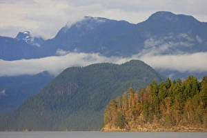 Slopes Prints: View of coastline and temperate rainforest habitat
