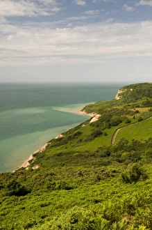 Coast Line Prints: View of coastline, viewed from Hastings Country Park