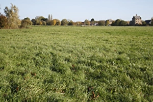 View of commonland reserve, The Carnser, Mellis Common, Mellis, Suffolk, England, october