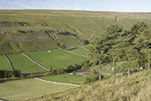 Slopes Prints: View of conifer trees, farm and drystone walls on hillside