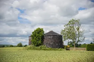 Iron Prints: View of corrugated iron grain bins and Wheat (Triticum aestivum) field