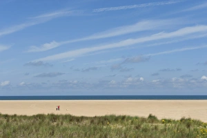 Walk Prints: View of couple walking dogs on sandy beach, Holkham Beach, Holkham, Norfolk, England, july