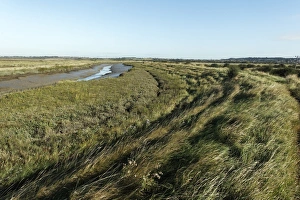 Thames Estuary Prints: View of creek and coastal marshland habitat
