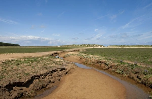 Holkham Prints: View of creek in saltmarsh habitat, Holkham Beach, Holkham, Norfolk, England, july