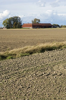 Farmlands Prints: View of cultivated arable fields and farm buildings, Sweden, autumn