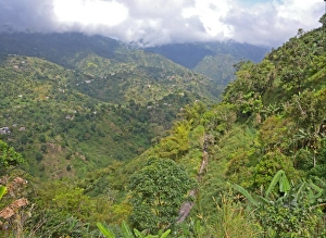 Slopes Prints: View down over cultivated lower slopes of mountain, Blue Mountains, Jamaica, march