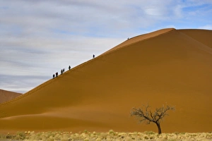 Holidays Prints: View of desert sand dunes with tourists at dawn