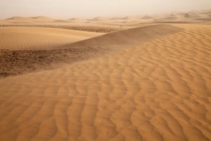 Winds Prints: View of desert sand dunes with windblown sand, Sahara, Morocco, may