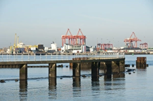 Port Prints: View of dock cranes at container port, Dublin Port, Dublin Bay, Ireland, november
