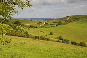 View of downland and footpath, Ridgeway Path, Ivinghoe Beacon, Chiltern Hills, Buckinghamshire, England, June