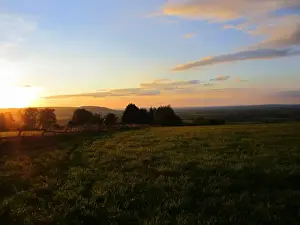 Chilterns Prints: View of downland habitat at dawn