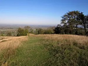 Chilterns Prints: View of downland habitat, Whiteleaf Hill Nature Reserve