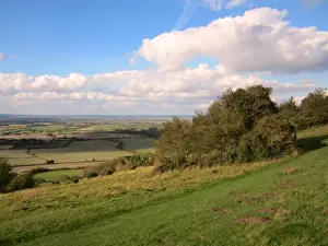 Chilterns Prints: View from downland across Vale of Aylesbury