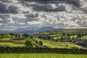 Stone Prints: View of drystone wall and farmland