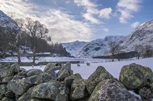 Swaledale Prints: View over drystone wall across snow covered pasture with Swaledale ewes and hills