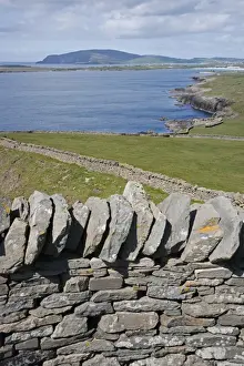 Shetland Prints: View of drystone walls and coastline