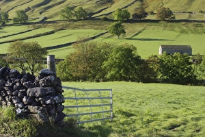 Gates Prints: View of drystone walls, gate, stone barn and trees