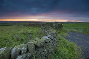 Agriculture Prints: View of drystone walls and gates in farmland on coastal plain at sunset