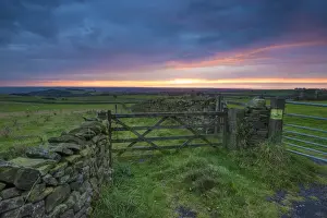 View of drystone walls and gates in farmland on coastal plain at sunset, looking towards Morecambe Bay, The Fylde