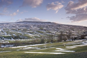 Swaledale Prints: View of drystone walls on hillside