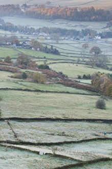Frosted Prints: View of drystone walls and pastures with frost
