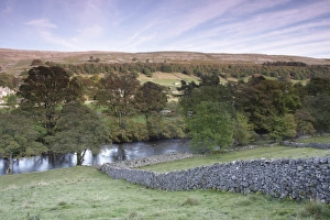 View of drystone walls, river and trees in evening light, River Wharfe, Kettlewell, Wharfedale, Yorkshire Dales N. P