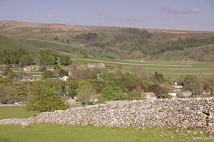 Grazer Prints: View of drystone walls, sheep grazing in pasture