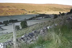 View of drystone walls, stone barns and trees at first light above valley, Kettlewell, Wharfedale, Yorkshire Dales N. P