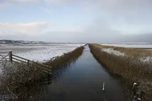 Dyke Prints: View of dyke and snow covered coastal grazing marsh habitat