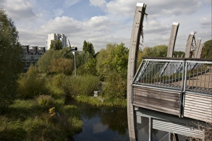 View of ecology park with wetland habitat and wind turbine, The Ecology Park, Mile End Park, Tower Hamlets, London