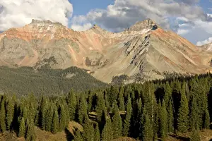 Coniferous Prints: View over Engelmanns Spruce (Picea engelmannii) high forest habitat towards mountain peak