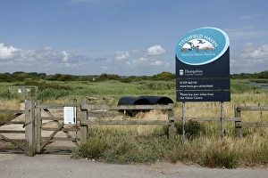 Conserves Prints: View of entrance gate and sign at wetland reserve