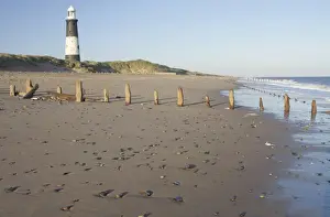 Erosion Prints: View of eroded groynes on beach and lighthouse in evening light