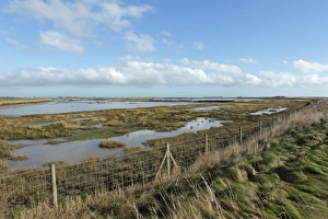 Environmental Prints: View over estuary marshland from coastal embankment