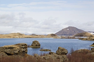 Myvatn Prints: View of eutrophic lake habitat, Lake Myvatn, Iceland, May