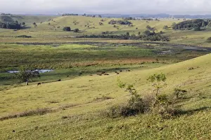 Site Prints: View of extinct volcanic crater with cattle and wetland habitat