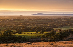Agriculture Prints: View of farmland on coastal plain at sunset