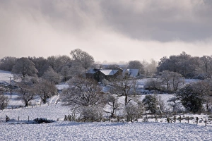 Snowy Prints: View of farmland covered with snow