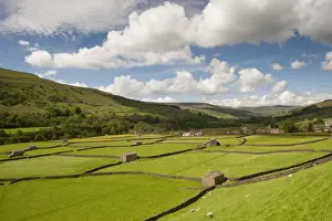: View of farmland with drystone walls