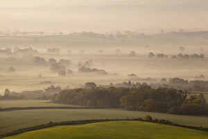 Mists Prints: View of farmland with hedgerows and fields in mist at sunrise