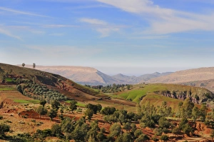 Moroccan Prints: View of farmland and hills, Ait-Ourir, Al Haouz Province, Morocco, january