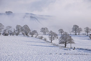 Mists Prints: View of farmland and hills covered with snow and mist