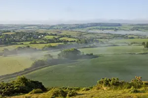 View of farmland with low lying mist over mixed pasture and arable fields, Corfe, Dorset, England, May
