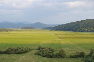 View of farmland on temporarily dry intermittent lake, Lake Cerknica, Cerknica Polje, Inner Carniola, Slovenia, August